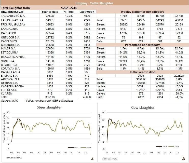 Image related to report content