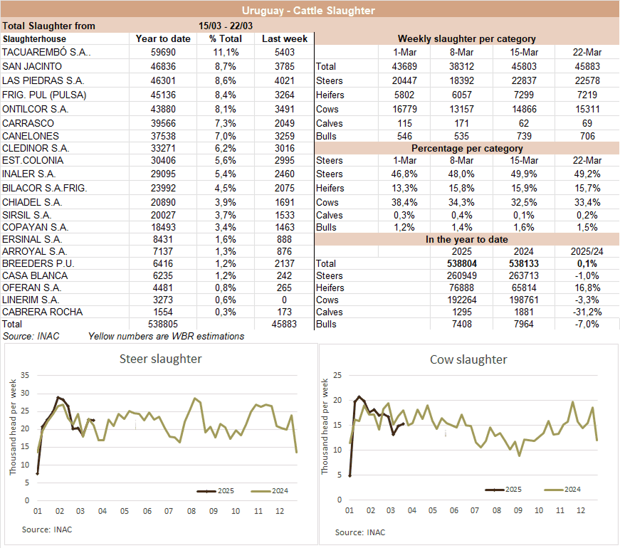 Image related to report content