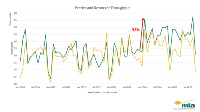 Image related to report content