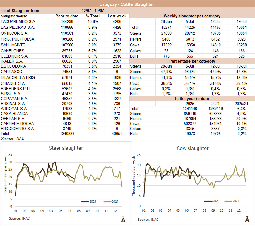 Image related to report content
