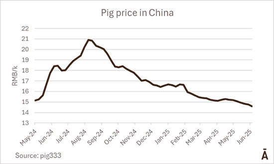 Image related to report content