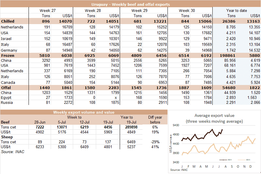 Image related to report content