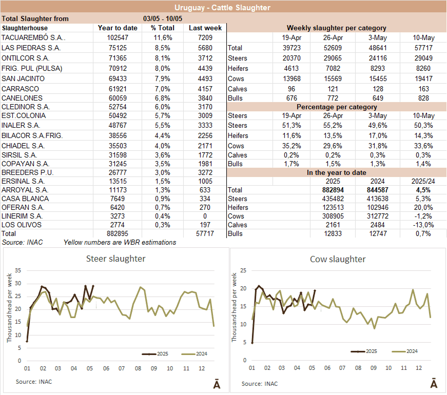 Image related to report content